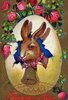Easter Bunny